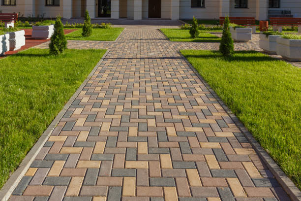 Best Driveway Paving Contractor  in Buena Vista, MI